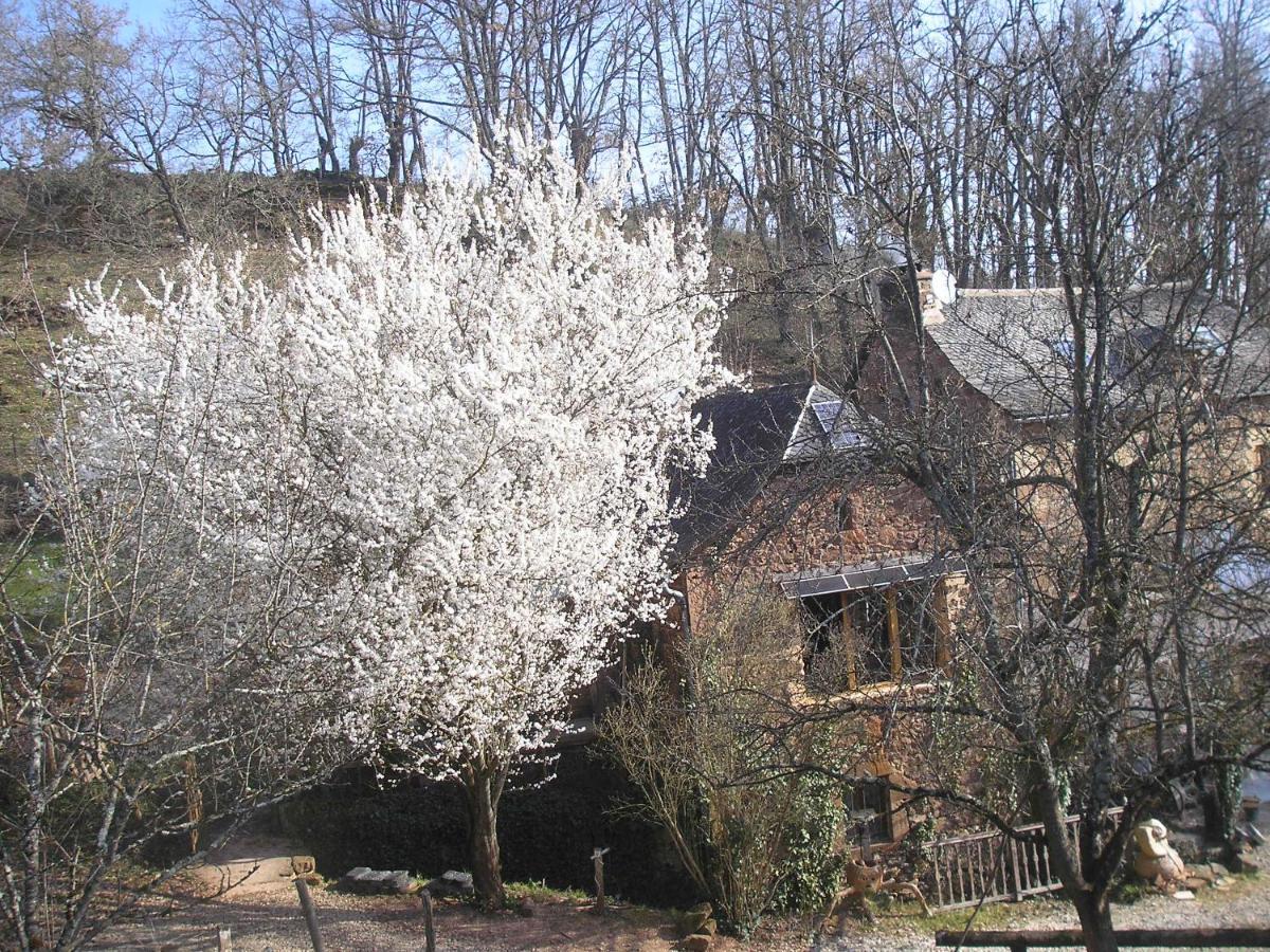 Grange Renovee En Pleine Nature Valady Exterior photo